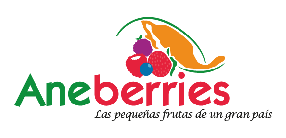 2019 bhbs sponsor aneberries logo