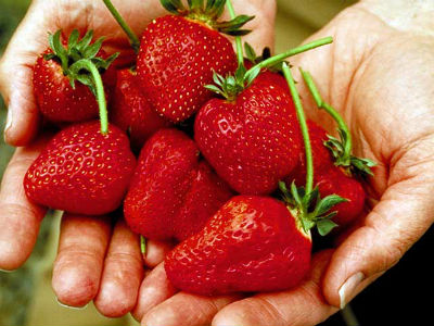 strawberries-handful